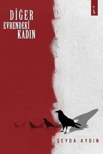 Diğer Evrendeki Kadın - Şeyda Aydın - İkinci Adam Yayınları