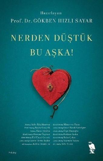 Nerden Düştük Bu Aşka! - Gökben Hızlı Sayar - Nemesis Kitap Yayınevi