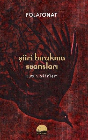 Şiir Bırakma Seansları - Polat Onat - Kent Kitap