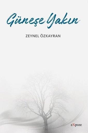 Güneşe Yakın - Zeynel Özkayran - Expoze