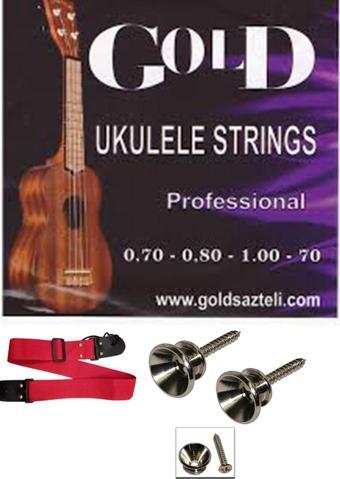 Anatolia Gold Ukulele Tel Seti Ukulele Askısı Askı Pimi 2 Adet