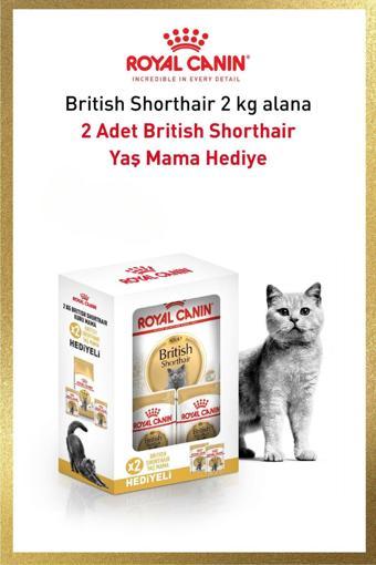 Royal Canin British Shorthair Adult Kedi Kuru Maması 2 Kg