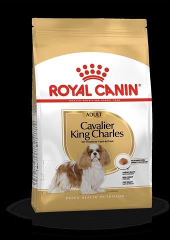 Royal Canin Dog Bhn Cavalier Köpek Maması 1,5 Kg