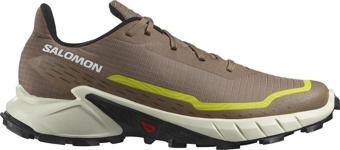 Salomon L47460100 Alphacross 5 Spor Ayakkabı Kahverengi