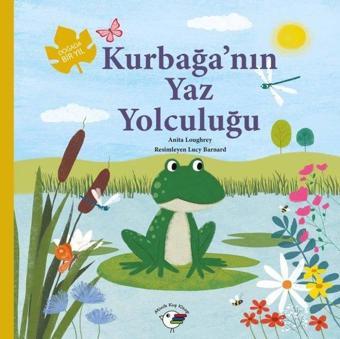 Kurbağa'nın Yaz Yolculuğu - Doğada Bir Yıl - Anita Loughrey - Minik Kuş Kitap