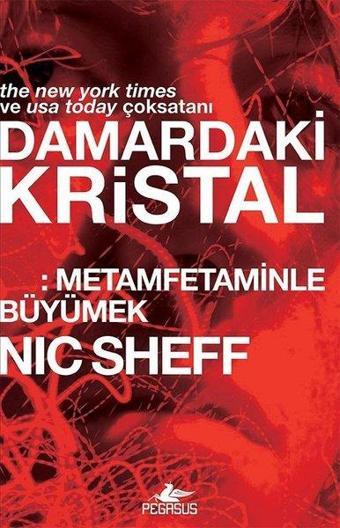 Damardaki Kristal: Metamfetaminle Büyümek - Nic Sheff - Pegasus Yayınevi