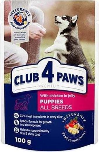 Club4Paws Tavuklu Jöleli Pouch Yavru Konserve Köpek Maması 100 Gr