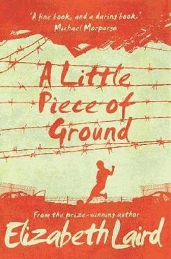 A Little Piece of Ground: 15th Anniversary Edition - Elizabeth Laird - Macmillan Childrens Books