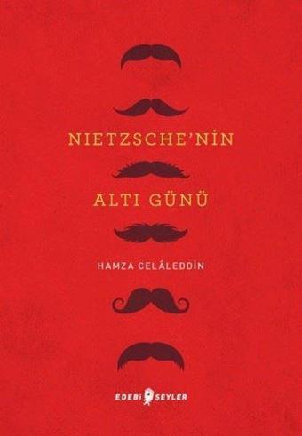 Nietzsche'nin Altı Günü - Hamza Celaleddin - Edebi Şeyler