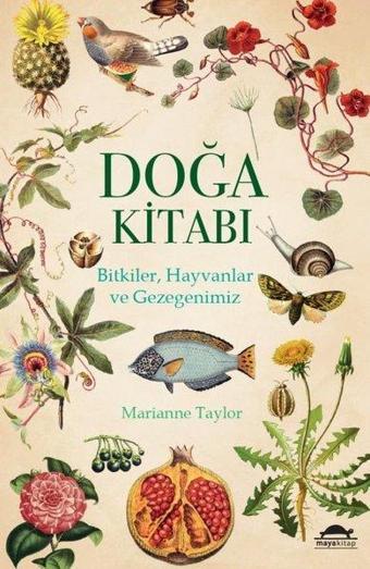 Doğa Kitabı: Bitkiler-Hayvanlar ve Gezegenimiz - Marianne Taylor - Maya Kitap