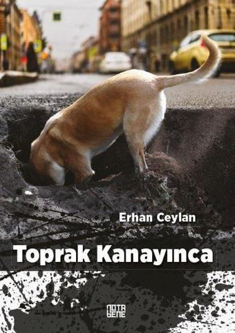 Toprak Kanayınca - Nota Bene Yayınları