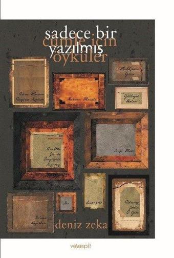 Sadece Bir Cümle İçin Yazılmış Öyküler - Deniz Zeka - Velespit Yayınları