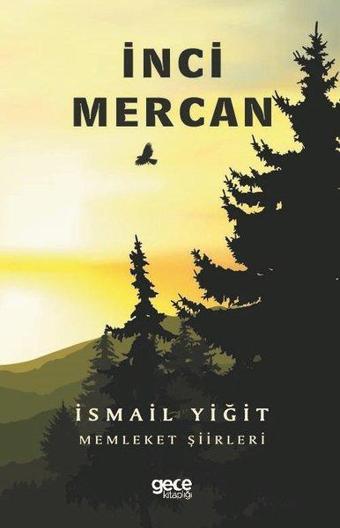 İnci Mercan - İsmail Yiğit - Gece Kitaplığı