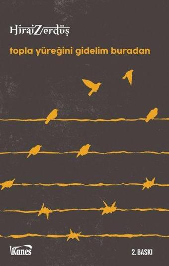 Topla Yüreğini Gidelim Buradan - Hirai Zerdüş - Kanes Yayınları