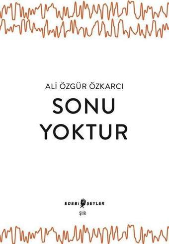 Sonu Yoktur - Ali Özgür Özkarcı - Edebi Şeyler