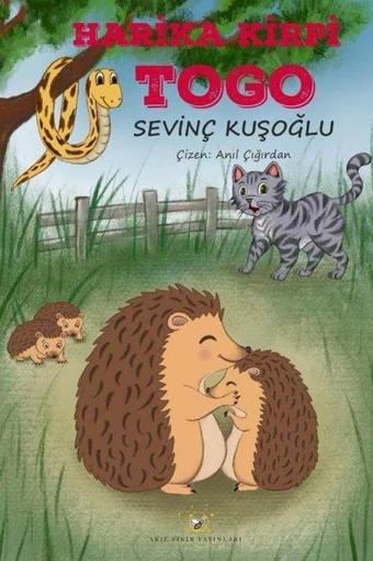 Togo - Sevinç Kuşoğlu - Akıl Fikir Yayınları