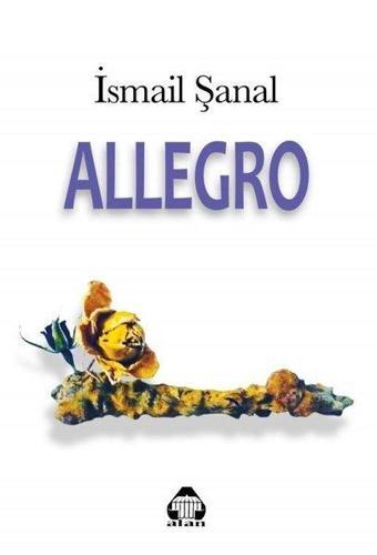 Allegro - İsmail Şanal - Yeni Alan Yayıncılık