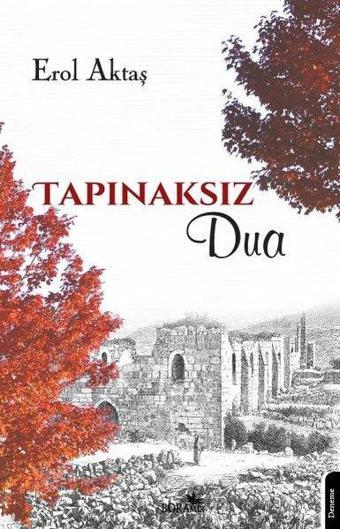 Tapınaksız Dua - Erol Aktaş - Boramir Yayınları