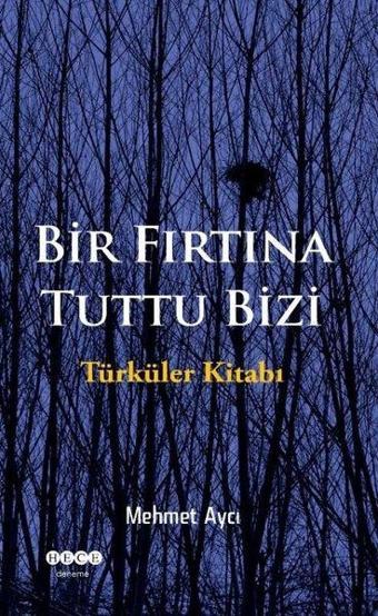 Bir Fırtına Tuttu Bizi - Mehmet Aycı - Hece Yayınları