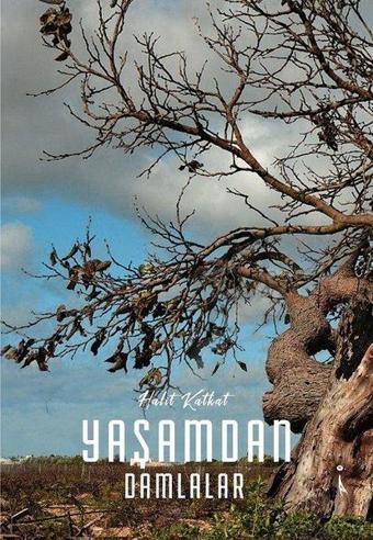 Yaşamdan Damlalar - Halit Katkat - İkinci Adam Yayınları