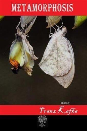 Metamorphosis - Platanus Publishing