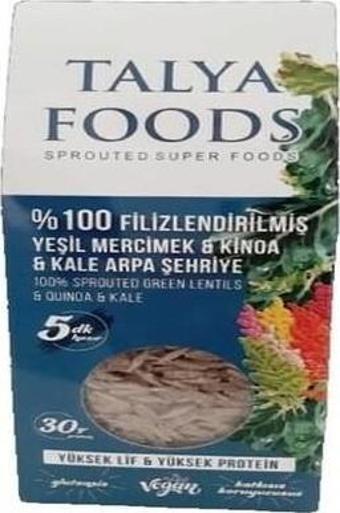 Talya Foods Talya Filizlenmiş Yeşil Mercimek Kinoa Kale Şehriye 200 gr