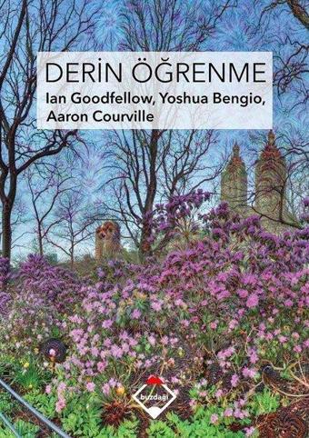 Derin Öğrenme - Aaron Courville - Buzdağı Yayınevi-Eğitim