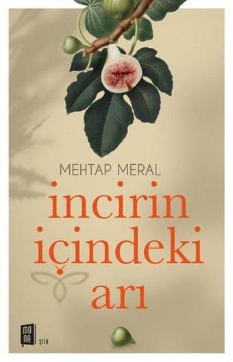 İncirin İçindeki Arı - Mehtap Aral - Mona