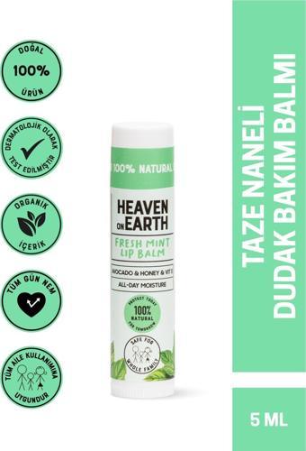 %100 Doğal Ve Organik Içerikli Fresh Mint Lip Balm Nemlendirici Besleyici Naneli Dudak Bakım Balmı