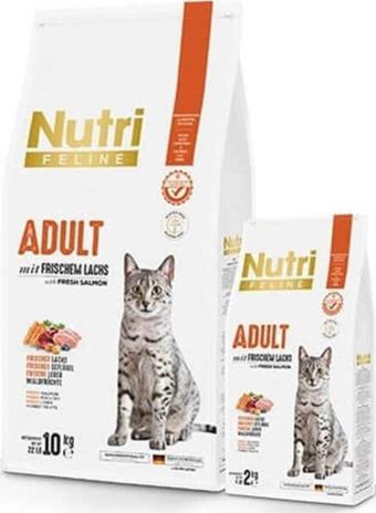 Nutri Feline Somonlu Yetişkin Tahılsız Kedi Maması 10 Kg