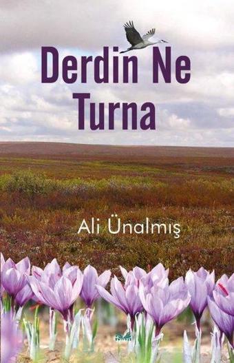 Derdin Ne Turna - Ali Ünalmış - İzan Yayıncılık