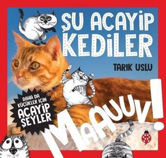 Daha da Küçükler İçin Acayip Şeyler - Şu Acayip Kediler - Tarık Uslu - Uğurböceği