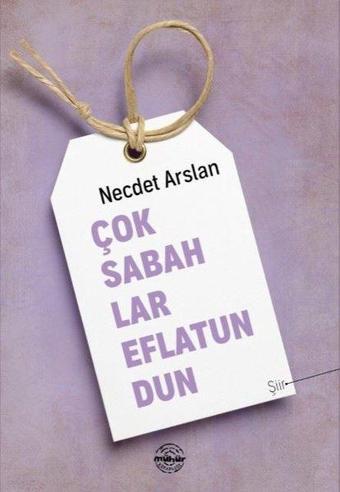 Çok Sabahlar Eflatundun - Necdet Arslan - Mühür Kitaplığı