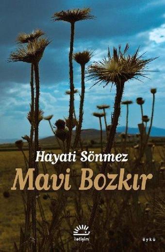 Mavi Bozkır - İletişim Yayınları