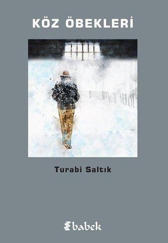 Köz Öbekleri - Turabi Saltık - Babek Yayınları