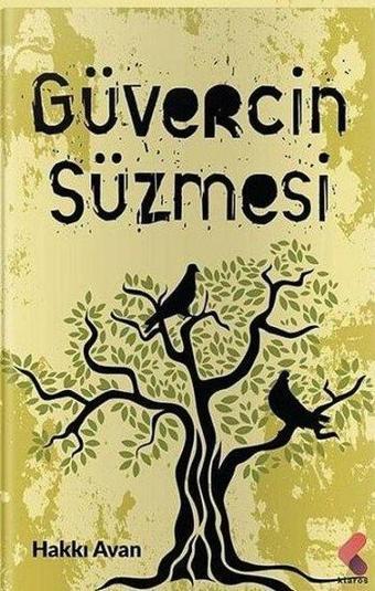 Güvercin Süzmesi - Hakkı Avan - Klaros Yayınları