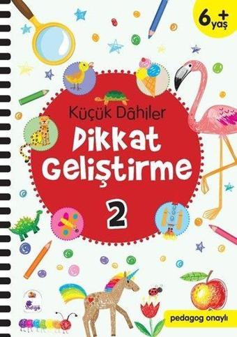 Küçük Dahiler Dikkat Geliştirme 2 - 6+ Yaş - Ayça G. Derin - İndigo Çocuk