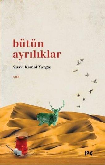 Bütün Ayrılıklar - Suavi Kemal Yazgıç - Profil Kitap Yayınevi