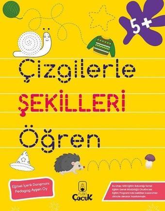 Çizgilerle Şekilleri Öğren - 5+ Yaş - Kolektif  - Floki Çocuk