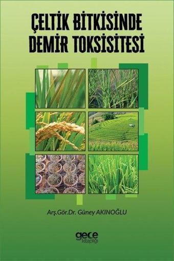 Çeltik Bitkisinde Demir Toksisitesi - Gece Kitaplığı