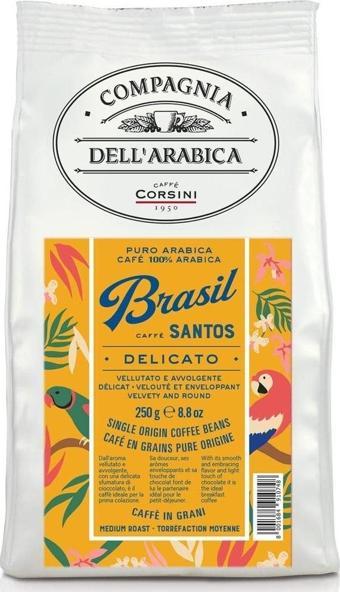 Caffe Corsini Brezilya Santos %100 Arabica Çekirdek Kahve 250GR