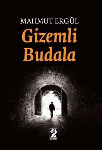 Gizemli Budala - Mahmut Ergül - İştirak Yayınları