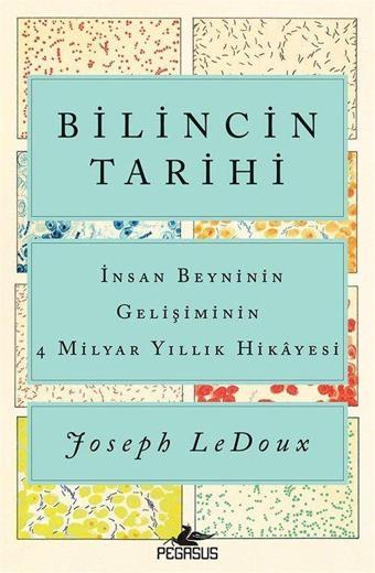 Bilincin Tarihi: İnsan Beyninin Gelişiminin 4 Milyar Yıllık Hikayesi - Pegasus Yayınevi