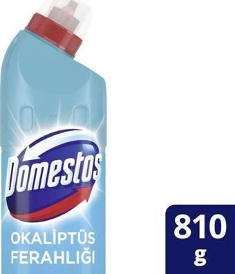 Domestos 806 Gr Okalİptus