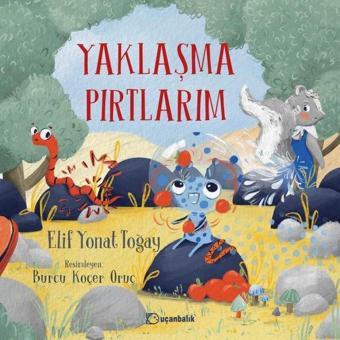 Yaklaşma Pırtlarım - Elif Yonat Toğay - Uçanbalık Yayıncılık