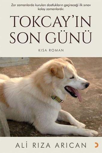 Tokcayın Son Günü - Kısa Roman - Ali Rıza Arıcan - Cinius Yayınevi