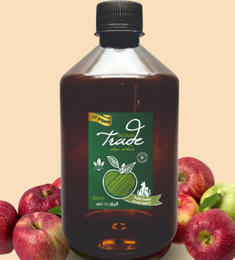 Ev Yapımı Katkısız %100 Doğal Fermantasyon Elma Sirkesi,500 Ml apple cider vinegar