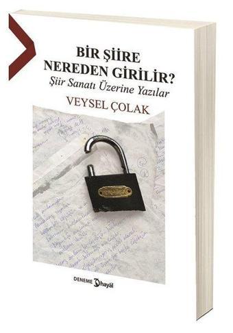 Bir Şiire Nereden Girilir? - Veysel Çolak - Hayal