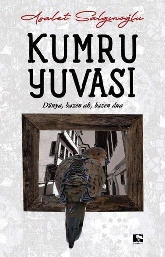 Kumru Yuvası - Asalet Salgınoğlu - Çınaraltı Yayınları