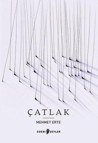 Çatlak - Mehmet Erte - Edebi Şeyler